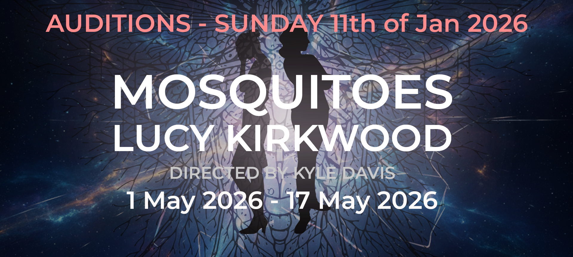 Mosquitoes Audition Banner